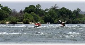 canoeing on a river at Australia in the forest