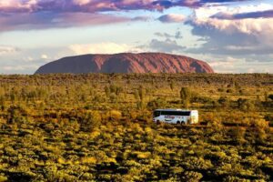 A tour bus traveling across flat desert lands in Australia’s Outback with Uluru (Ayers Rock) visible in the distance under a wide open sky.