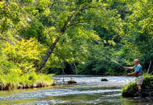 Angler fly fishing along a clear forest stream surrounded by lush green trees, rocks, and peaceful Appalachian wilderness.