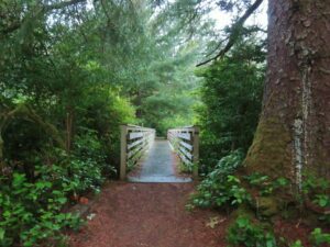 Wooden bridge over Tahkenitch Creek Oregon surrounded by lush forest with flowing water and scenic hiking trail.