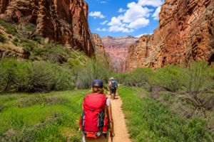 Havasu Falls Camping & Hiking Vacation 3 Hikers carrying backpacks along a scenic trail through a towering red rock canyon surrounded by lush green vegetation under a bright blue sky.
