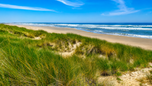 Scenic Oregon Coast beach with rolling sand dunes, tall beach grass, blue ocean waves, and a peaceful shoreline near Tahkenitch Falls.