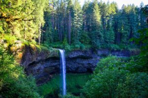 Tahkenitch Falls Oregon surrounded by dense forest with flowing waterfall, moss-covered rocks, and lush green trees in a peaceful natural setting.