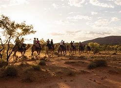 people riding camels in the Australian Outback