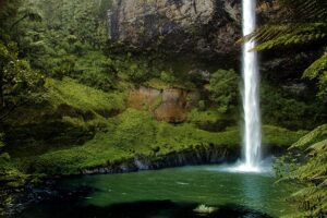 waterfall with steep cliffs in a forest