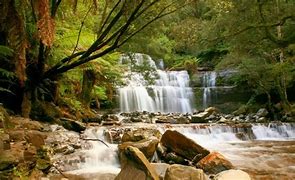 waterfalls in the Australian Outback in the woods