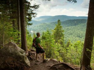Hiker with backpack standing in a forest clearing on a hill, looking out over a valley.