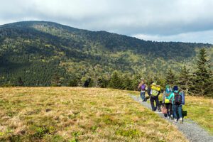 Hikers with backpacks walking along a trail in a field, with forested mountains ahead.