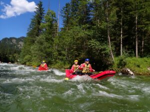 Kayakers paddling through whitewater rapids on a forested mountain river surrounded by lush trees and rugged wilderness.