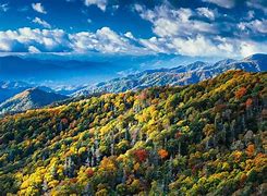 Mountains in the forest with lots of trees in the fall and a partly cloudy sky.