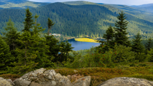 Wide panoramic view overlooking a peaceful mountain lake surrounded by dense evergreen forests and rolling mountain ridges in the Great Smoky Mountains, showcasing the park's breathtaking natural beauty.