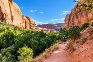 Lower Calf Creek Utah Vacation 3 Hiker walking along a scenic red-rock canyon trail surrounded by towering sandstone cliffs, lush green vegetation, and blue skies.