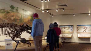 Visitors examining a prehistoric fossil skeleton and educational exhibits inside a museum at Petrified Forest National Park in Arizona.