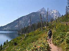 Person hiking with backpack on a trail with green vegetation with trees and a large mountain.