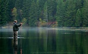 person fishing in the water in the woods
