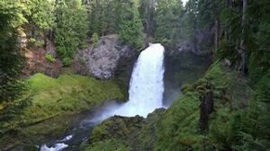 Breathtaking Oregon: How to Vacation in the Cascade Range 6 Waterfalls with steep cliffs with vegetation in a forest.