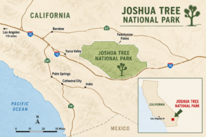 Joshua Tree National Park Calif. 7 Illustrated map showing the location of Joshua Tree National Park in Southern California, with nearby cities, major highways, and a California locator inset.