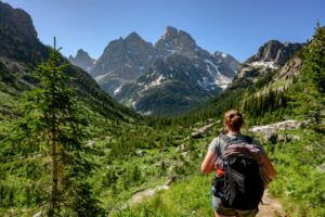 Person hiking with backpack with yrees and green vegetation with tall mountains and a blue sky