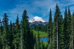 Breathtaking Oregon: How to Vacation in the Cascade Range 1 Tall trees in a forest and a field with a lake and a large mountain.