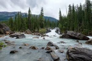 Sunwapta Falls Canada Vacation 5 Sunwapta River rushing through large boulders and evergreen forest beneath the Canadian Rockies near Sunwapta Falls in Jasper National Park, Alberta, Canada.