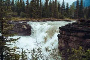 Sunwapta Falls Canada Vacation 1 Sunwapta Falls in Jasper National Park, Alberta, Canada, rushing over rugged rock cliffs surrounded by dense evergreen forest and Canadian Rockies scenery.