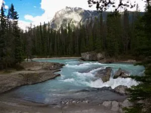 Sunwapta Falls Canada Vacation 3 Turquoise waters of the Sunwapta River rushing through rocky rapids surrounded by evergreen forest and towering Canadian Rockies mountains near Sunwapta Falls in Jasper National Park, Alberta.