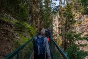 Sunwapta Falls Canada Vacation 7 Hikers with backpacks walking along a forest trail through rugged mountain scenery near Sunwapta Falls in Jasper National Park, Alberta, Canada.