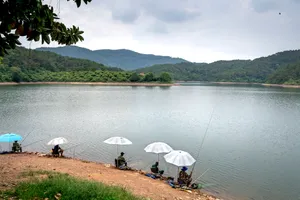 Anglers fishing along the shoreline of a peaceful mountain lake beneath colorful umbrellas, surrounded by lush green forests, rolling hills, and calm waters under a cloudy sky.
