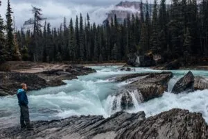 Sunwapta Falls Canada Vacation 8 Traveler overlooking the rushing turquoise Sunwapta River and rocky rapids surrounded by evergreen forest and Canadian Rockies near Sunwapta Falls in Jasper National Park, Alberta.