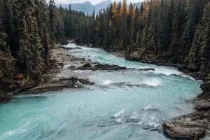 Sunwapta Falls Canada Vacation 6 Turquoise Sunwapta River flowing through a rugged evergreen forest with rocky banks and Canadian Rockies mountains near Sunwapta Falls in Jasper National Park, Alberta.