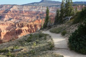 Canyon path with steep walls and trees on a clear blue shy day.