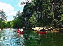 People canoeing in a river in the woods on a partly cloudy day.