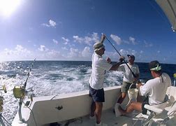 people deep sea fishing in the ocean