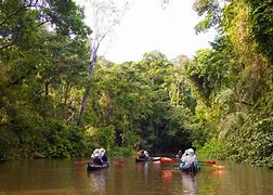 canoeing on a river in the rainforest