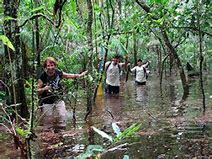 kids walking through the Amazon rainforest