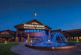 hotel in the Amazon rainforest with water fountain in the front