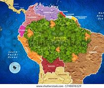  amazon rainforest south America
