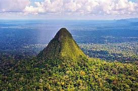 mountain in the rainforest