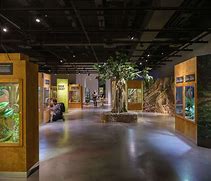 museums with artifacts