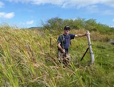 man in a field with camera for bird watching