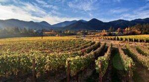 flat farmland and mountains