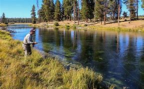person fishing in a stream in the woods