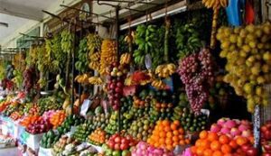 OIP 2025 06 03T124540.586