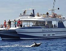 OIP 2025 06 03T172853.195