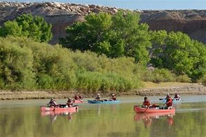 people canoeing on a river in three boats