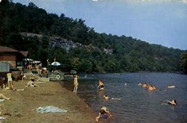 people swimming in a lake in the woods