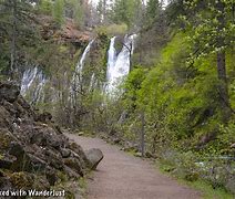 hiking path leading to a waterfall in the woods