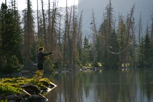 Person fly fishing along the rocky shoreline of a peaceful mountain lake surrounded by evergreen forests, tall trees, and scenic wilderness.