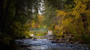 Peaceful woodland scenery featuring a rocky creek flowing beneath a small green pedestrian bridge, surrounded by dense forest and beautiful golden autumn foliage.