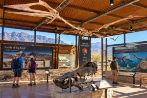 Visitors exploring fossil and prehistoric animal exhibits at Big Bend National Park in Texas.